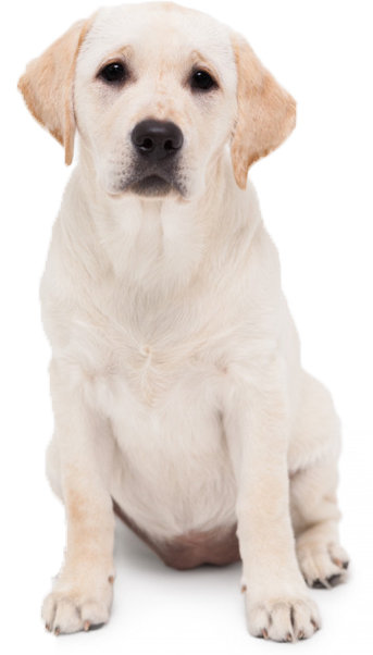 (HỘ KINH DOANH) LÊ PHÁT TIỄN